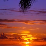 yoga teacher training