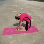 yoga education
